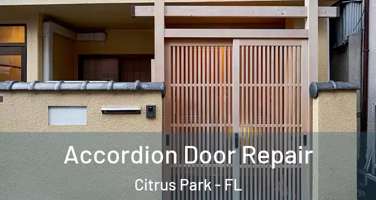  Accordion Door Repair Citrus Park - FL