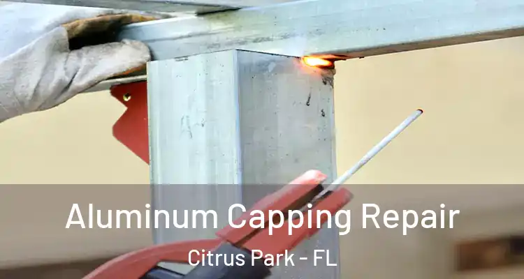 Aluminum Capping Repair Citrus Park - FL