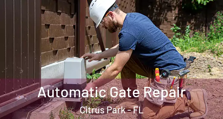  Automatic Gate Repair Citrus Park - FL
