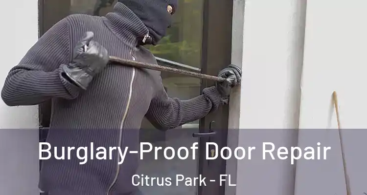 Burglary-Proof Door Repair Citrus Park - FL
