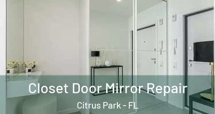  Closet Door Mirror Repair Citrus Park - FL