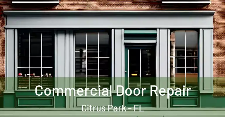  Commercial Door Repair Citrus Park - FL