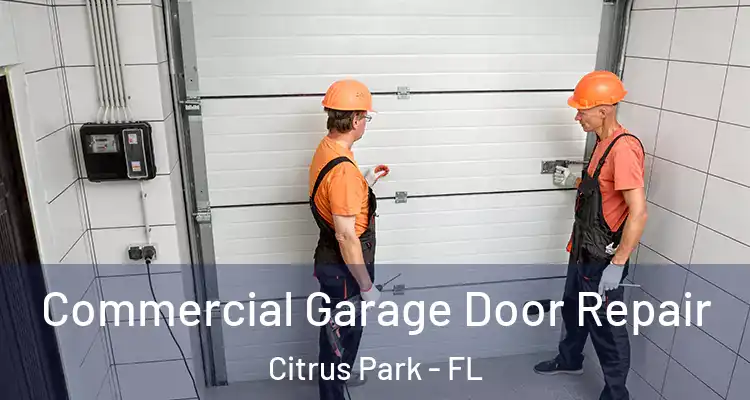  Commercial Garage Door Repair Citrus Park - FL