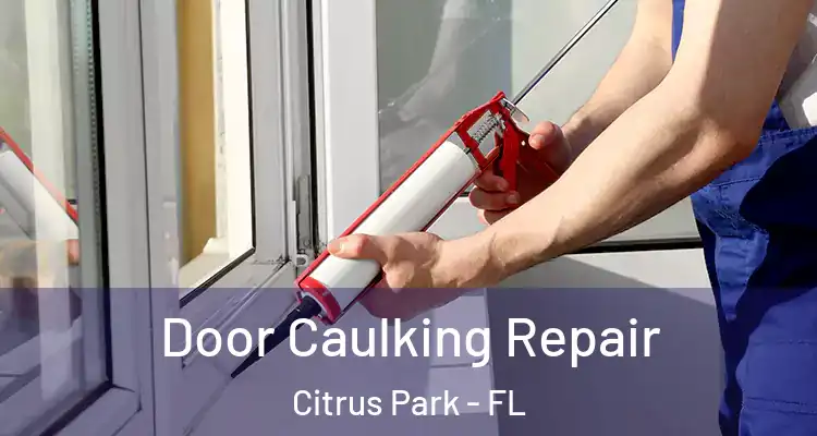  Door Caulking Repair Citrus Park - FL