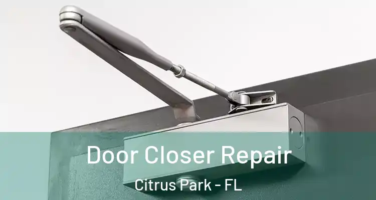  Door Closer Repair Citrus Park - FL