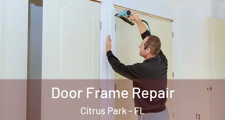  Door Frame Repair Citrus Park - FL