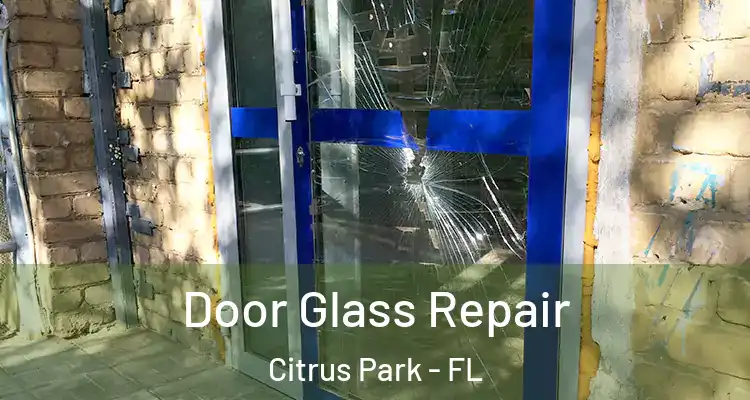  Door Glass Repair Citrus Park - FL