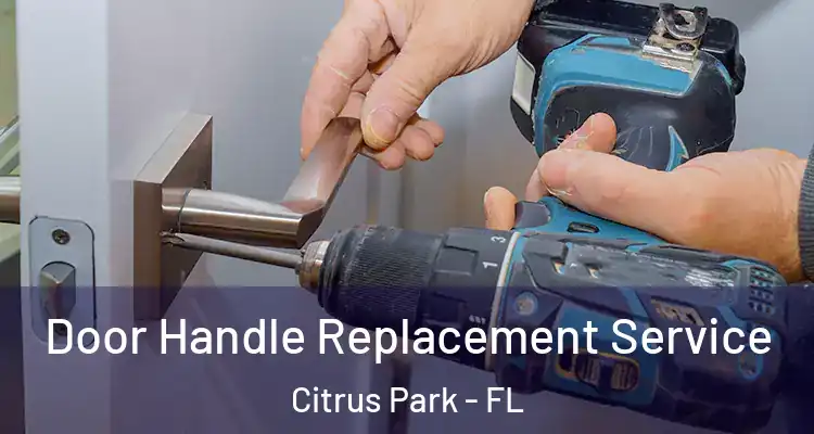  Door Handle Replacement Service Citrus Park - FL