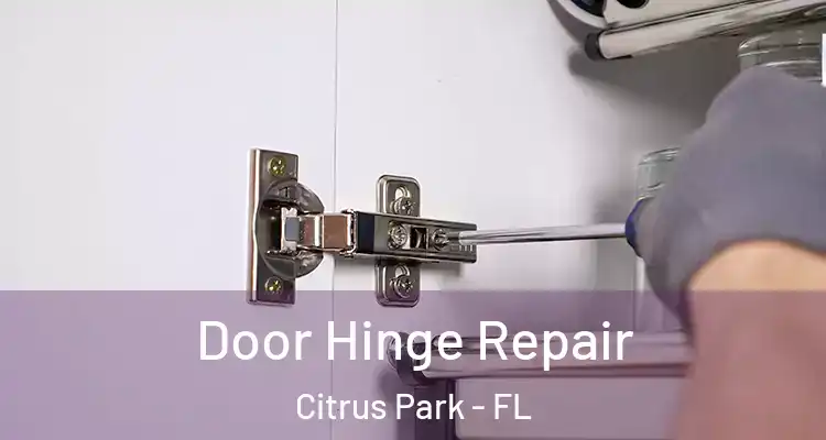  Door Hinge Repair Citrus Park - FL