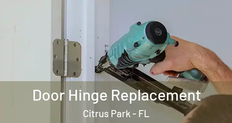  Door Hinge Replacement Citrus Park - FL