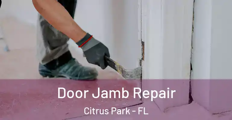  Door Jamb Repair Citrus Park - FL
