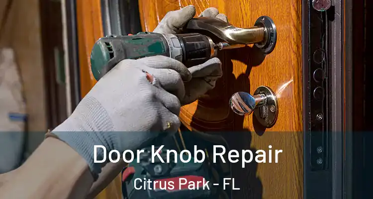  Door Knob Repair Citrus Park - FL