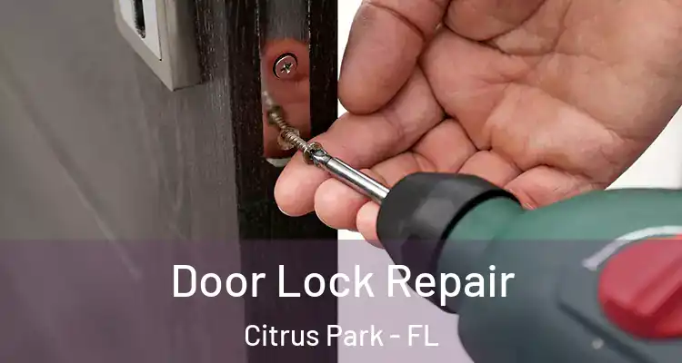  Door Lock Repair Citrus Park - FL