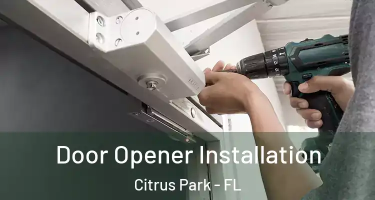  Door Opener Installation Citrus Park - FL