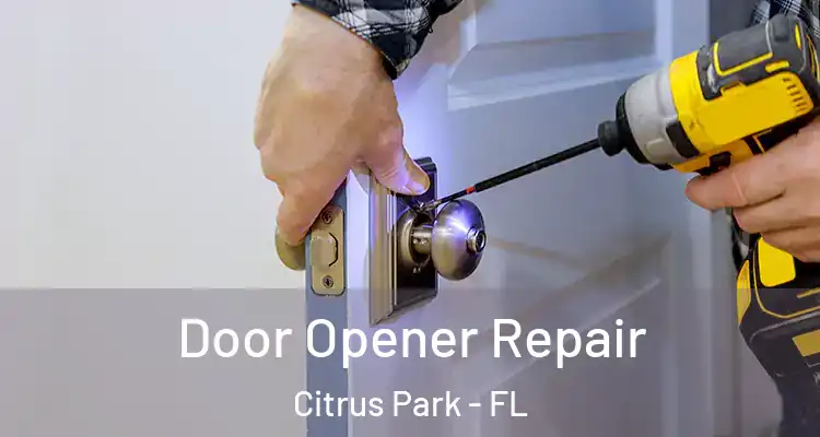  Door Opener Repair Citrus Park - FL