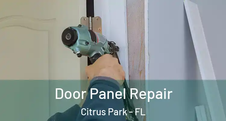 Door Panel Repair Citrus Park - FL