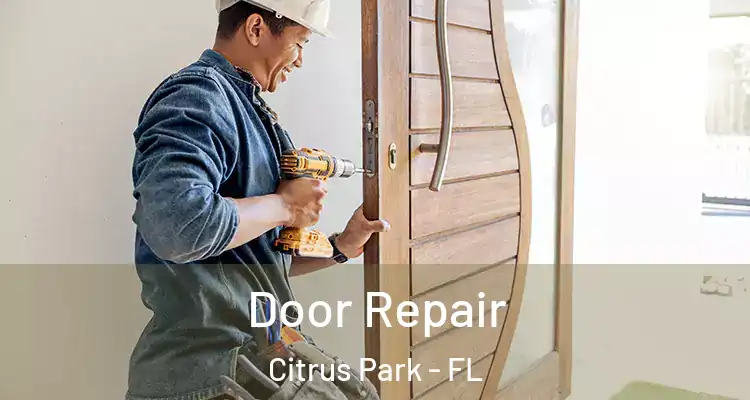  Door Repair Citrus Park - FL