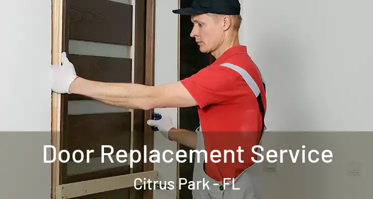 Door Replacement Service Citrus Park - FL