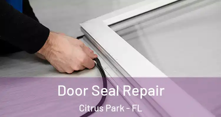  Door Seal Repair Citrus Park - FL