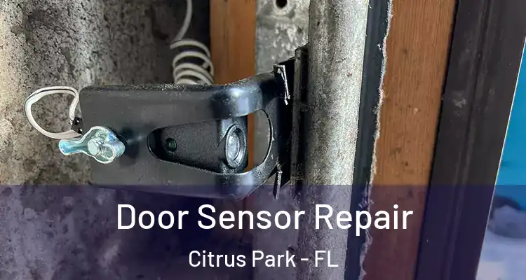  Door Sensor Repair Citrus Park - FL