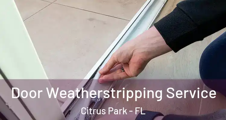  Door Weatherstripping Service Citrus Park - FL