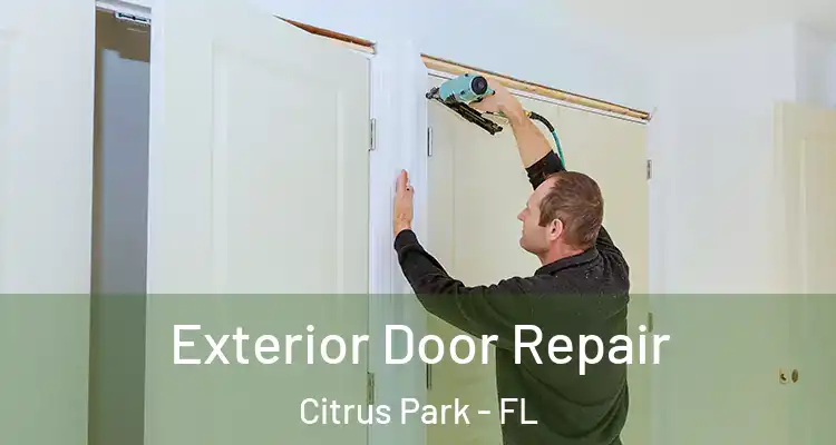  Exterior Door Repair Citrus Park - FL