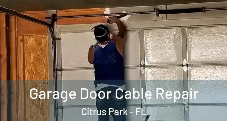  Garage Door Cable Repair Citrus Park - FL