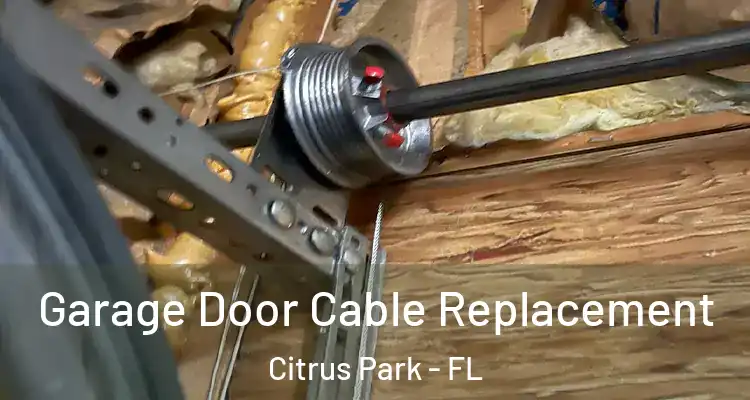  Garage Door Cable Replacement Citrus Park - FL