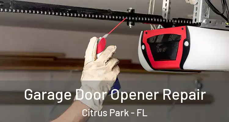  Garage Door Opener Repair Citrus Park - FL