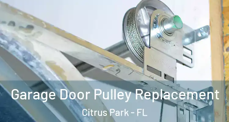  Garage Door Pulley Replacement Citrus Park - FL