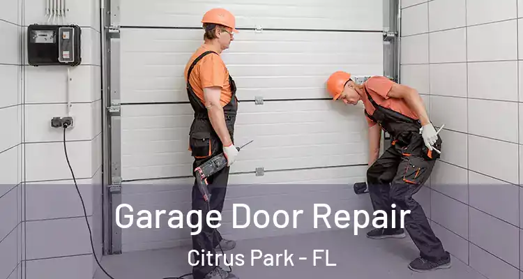  Garage Door Repair Citrus Park - FL