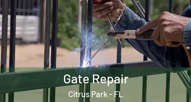  Gate Repair Citrus Park - FL