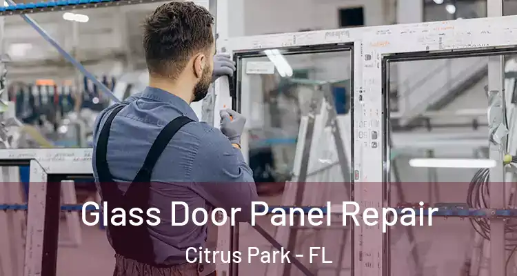  Glass Door Panel Repair Citrus Park - FL