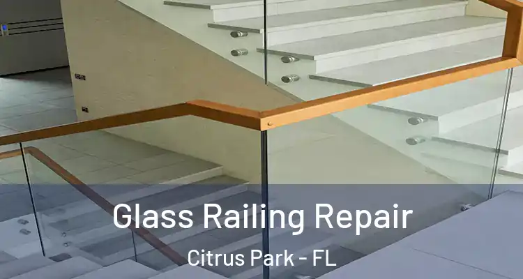  Glass Railing Repair Citrus Park - FL