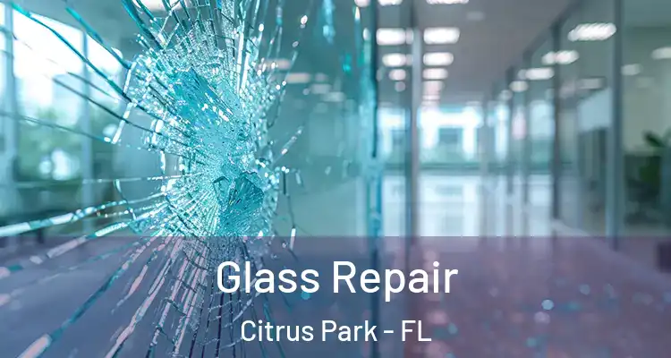  Glass Repair Citrus Park - FL