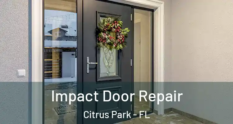  Impact Door Repair Citrus Park - FL