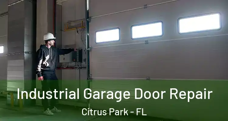  Industrial Garage Door Repair Citrus Park - FL