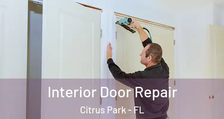  Interior Door Repair Citrus Park - FL