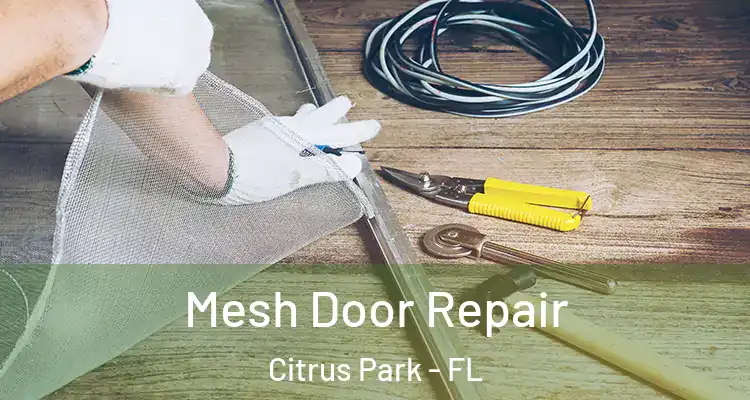  Mesh Door Repair Citrus Park - FL