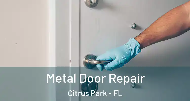  Metal Door Repair Citrus Park - FL
