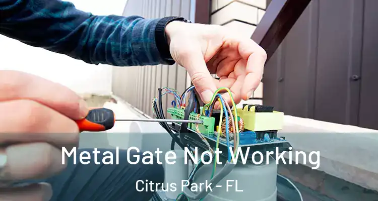  Metal Gate Not Working Citrus Park - FL
