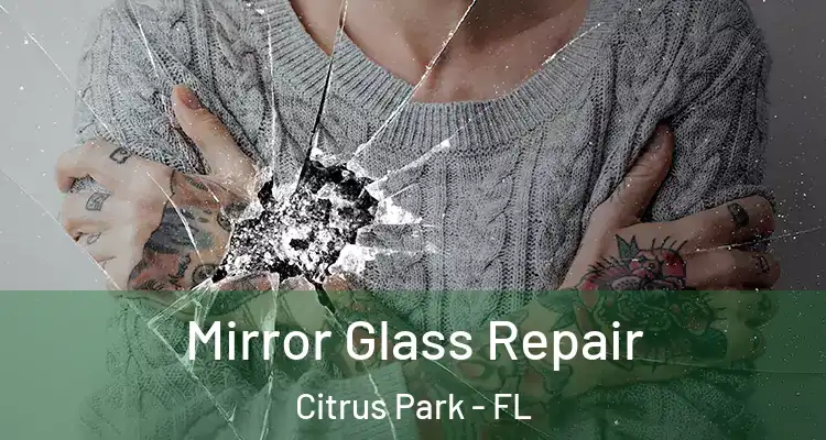  Mirror Glass Repair Citrus Park - FL