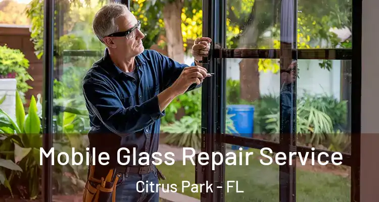  Mobile Glass Repair Service Citrus Park - FL