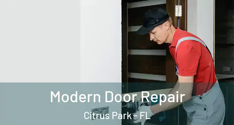  Modern Door Repair Citrus Park - FL