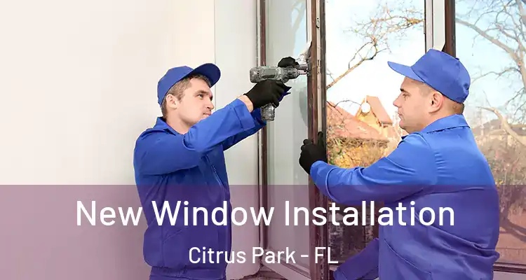  New Window Installation Citrus Park - FL