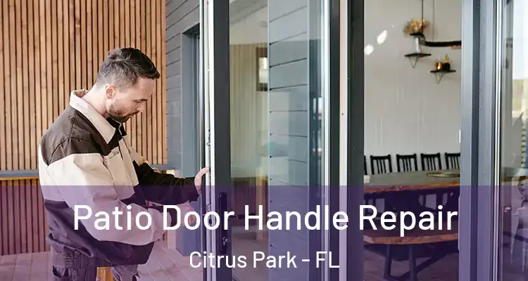  Patio Door Handle Repair Citrus Park - FL