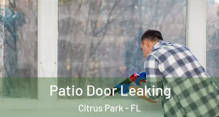  Patio Door Leaking Citrus Park - FL