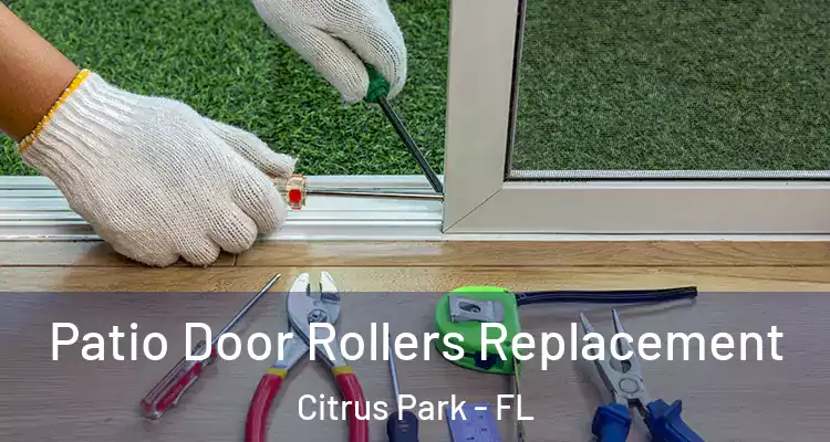  Patio Door Rollers Replacement Citrus Park - FL