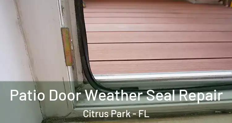  Patio Door Weather Seal Repair Citrus Park - FL