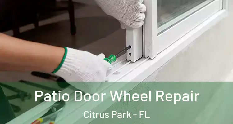  Patio Door Wheel Repair Citrus Park - FL